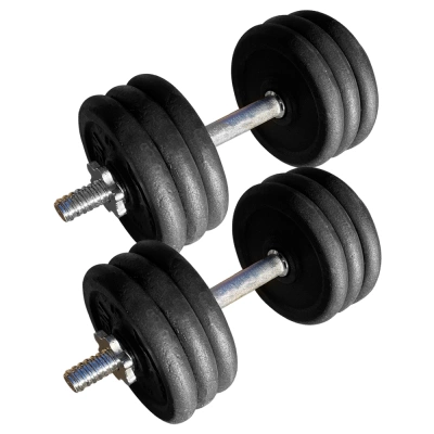 Гантелі збірні металеві Home 2 штуки по 20 кг TI-968-745-20-2